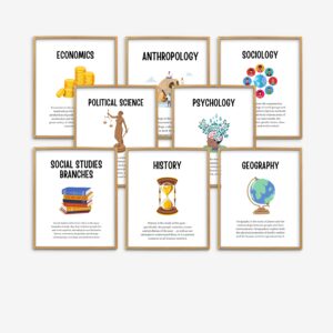 Social Studies Branches Set