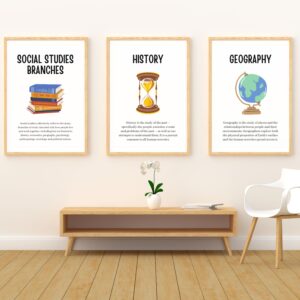 Social Studies Branches Set