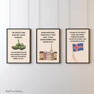 Historical Fun Facts Set