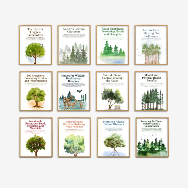 The Power of Trees Set