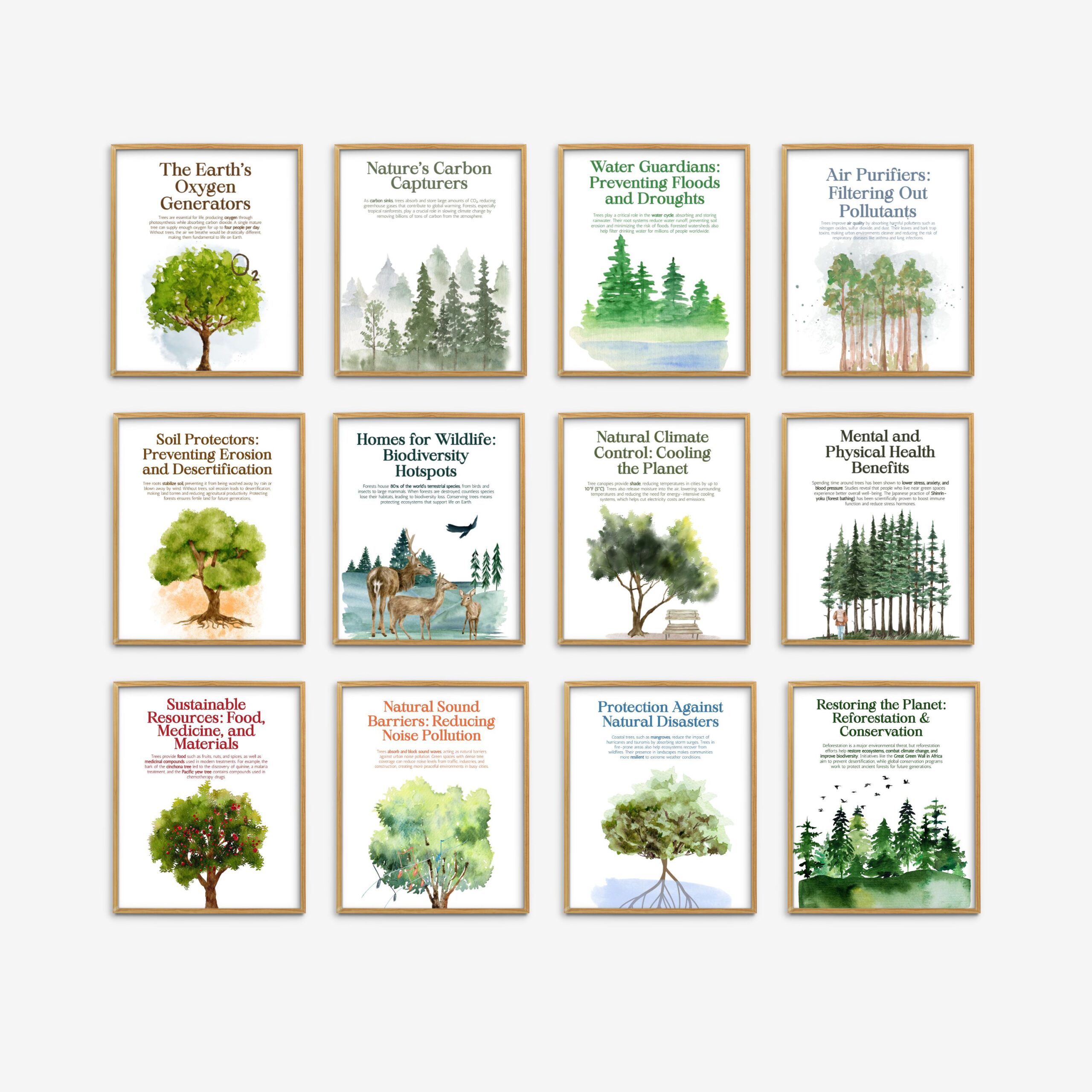 The Power of Trees Set