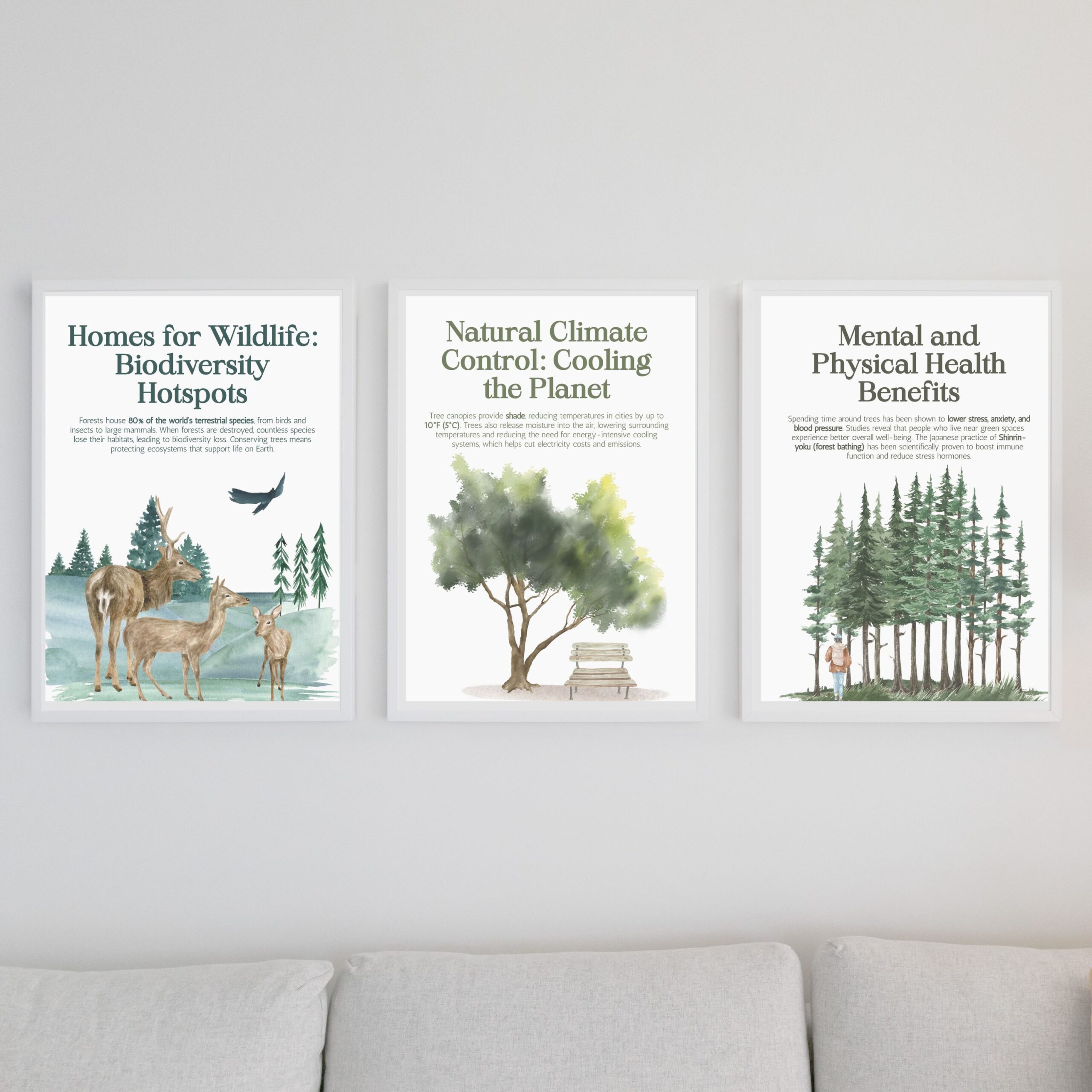 The Power of Trees Set