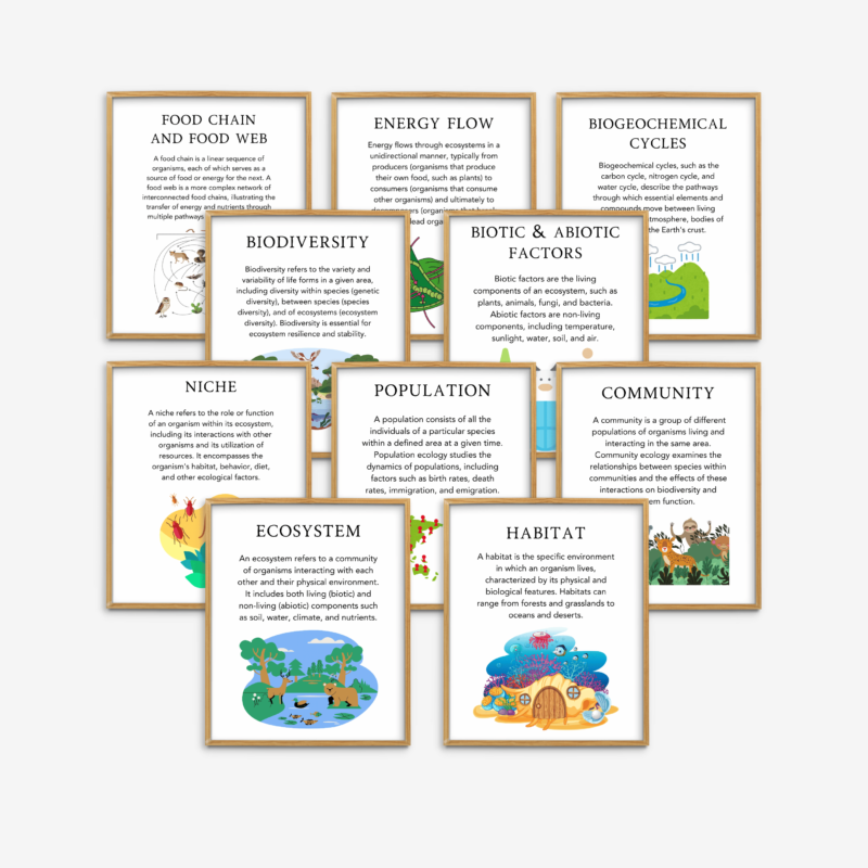 Ecological Concepts Set
