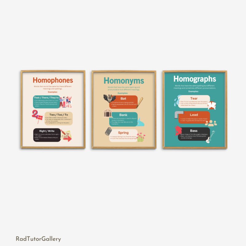 Homonym Homophone Homograph Set