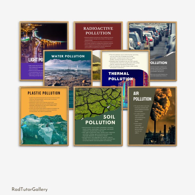 Types of Pollution Set
