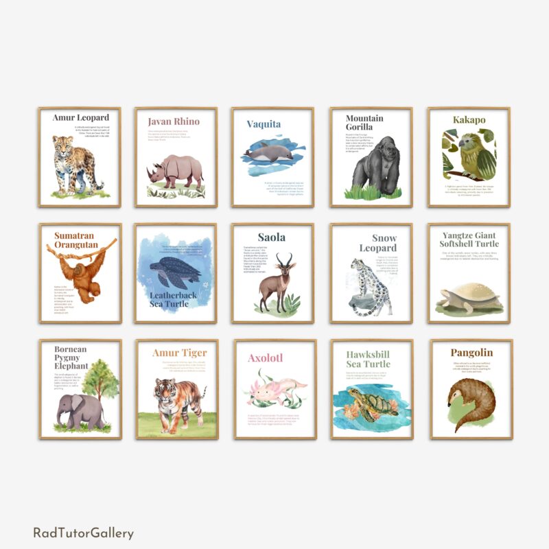 Endangered Species Set