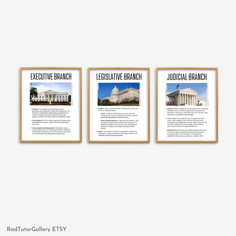 US Government Branches Set