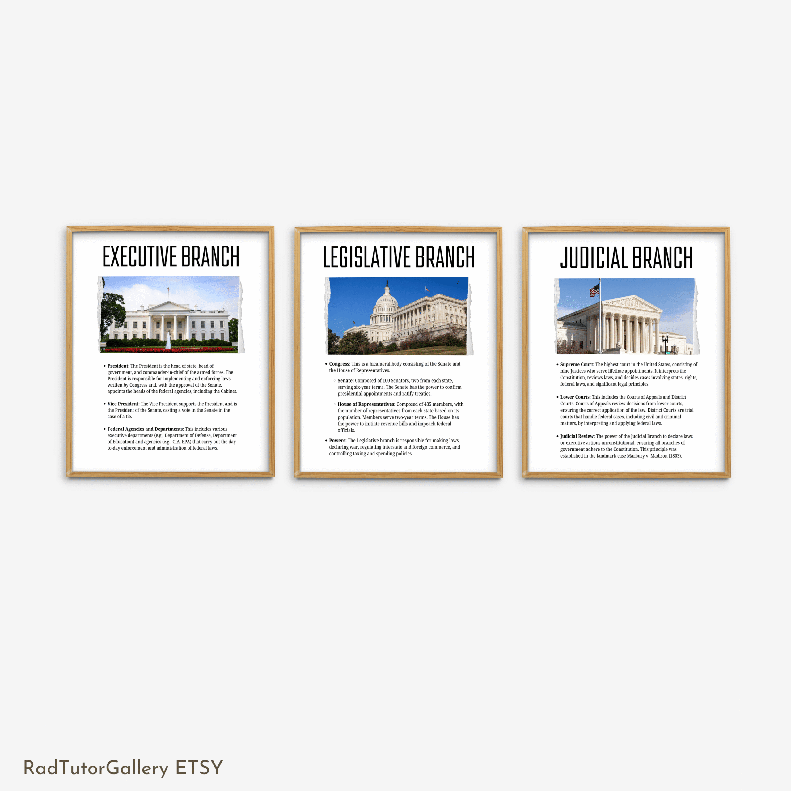 US Government Branches Set