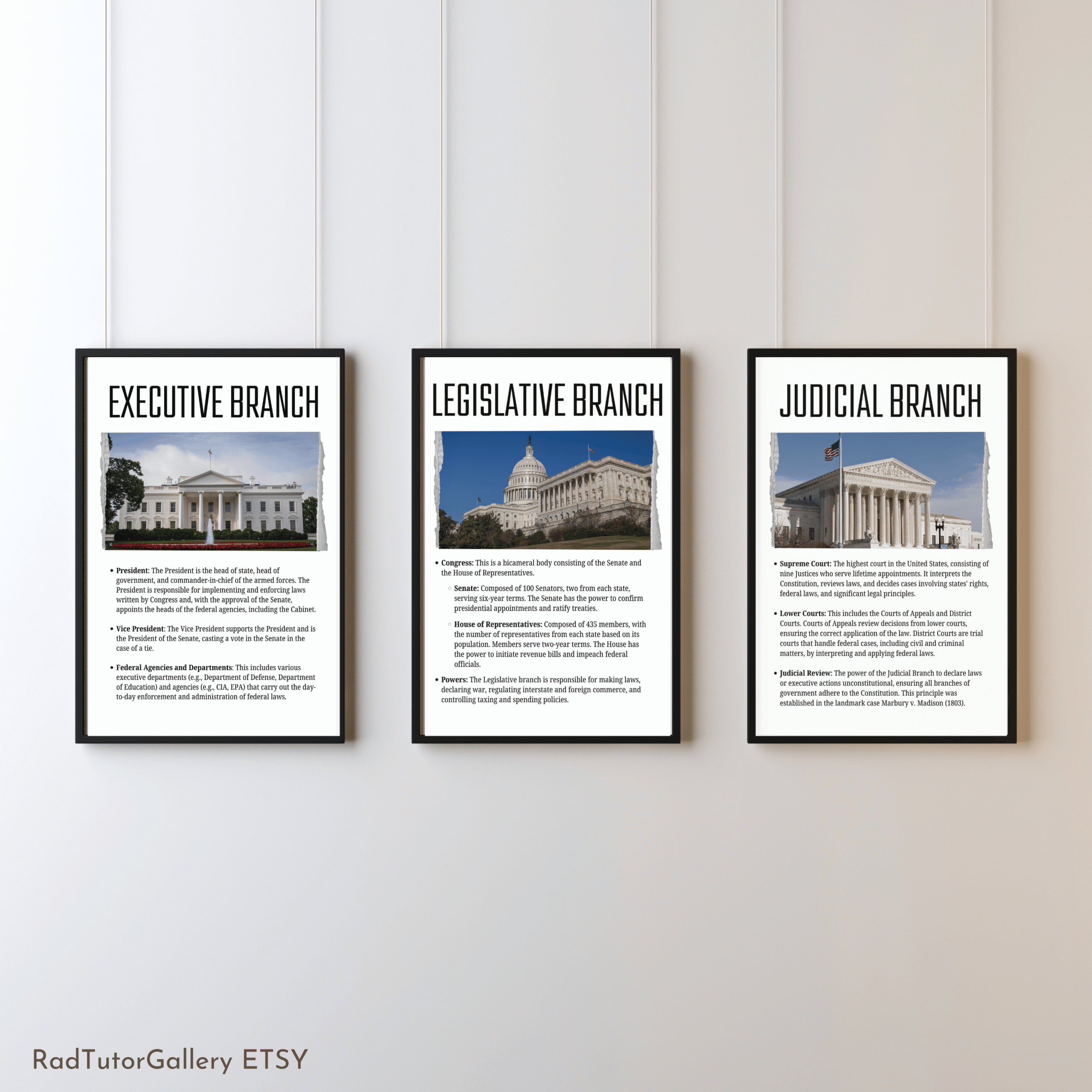 US Government Branches Set