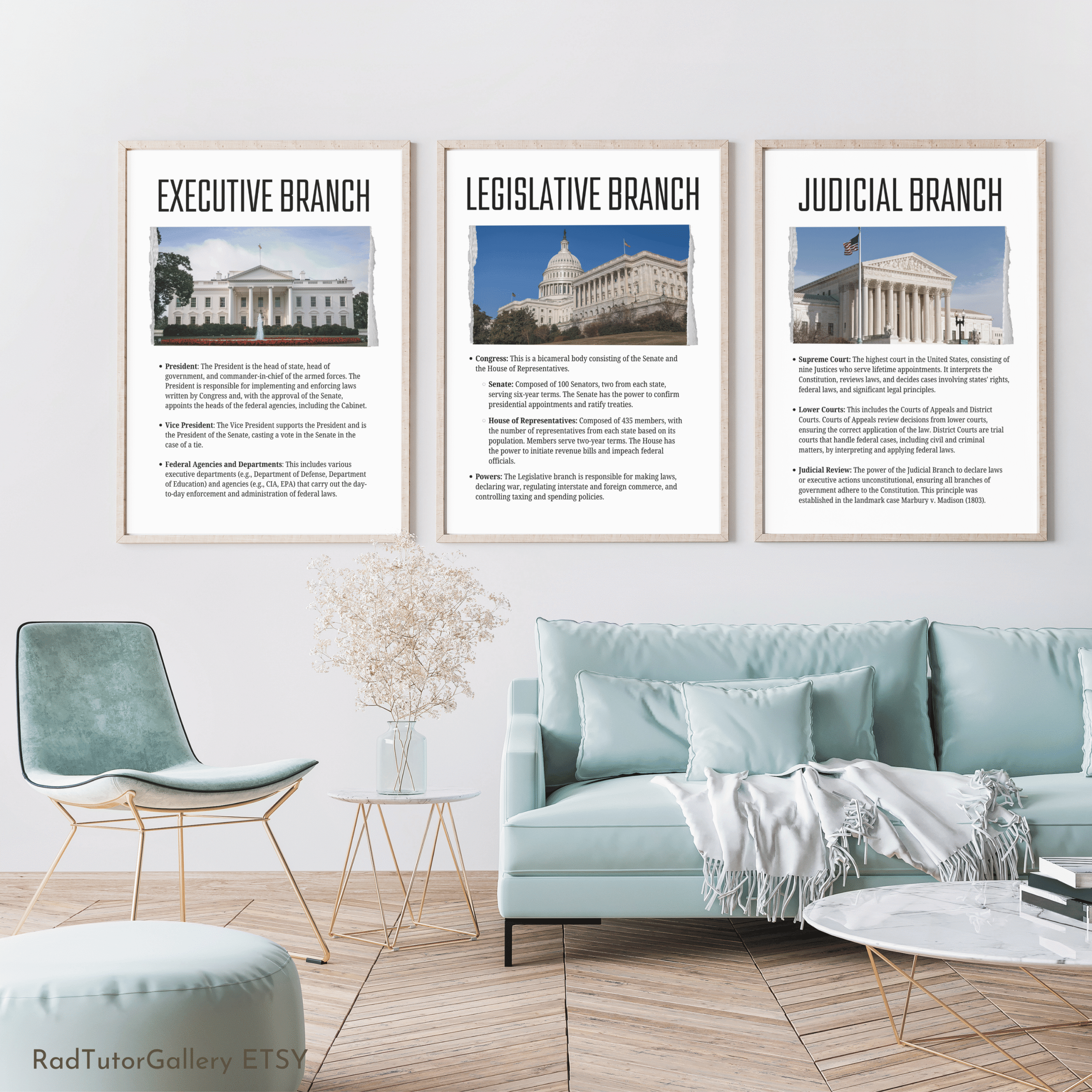 US Government Branches Set