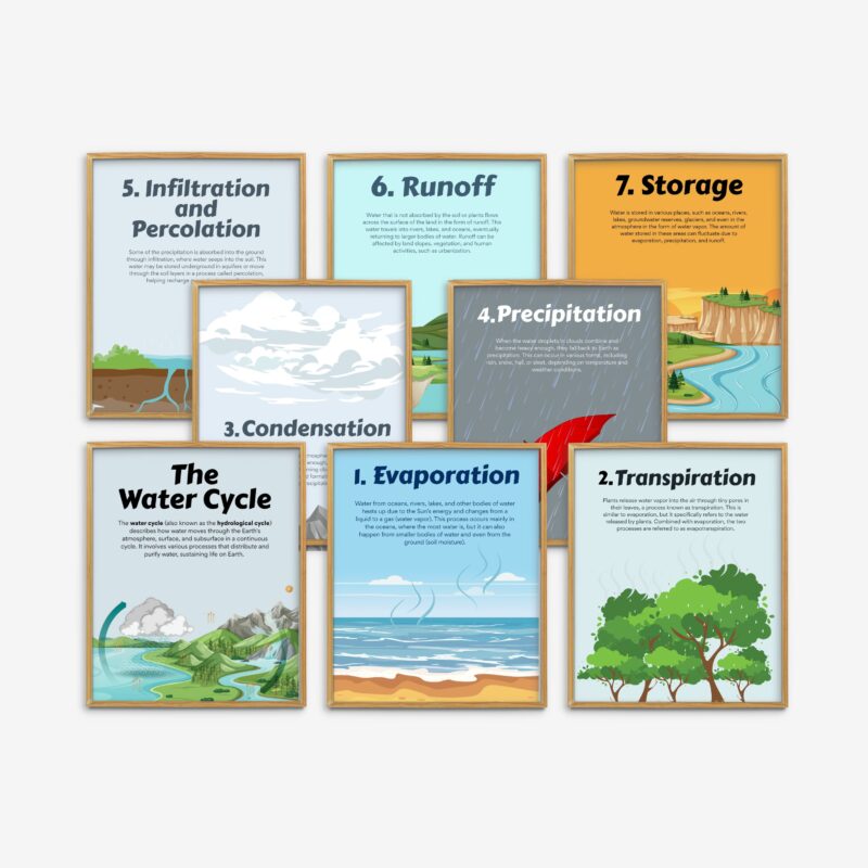 The Water Cycle Set