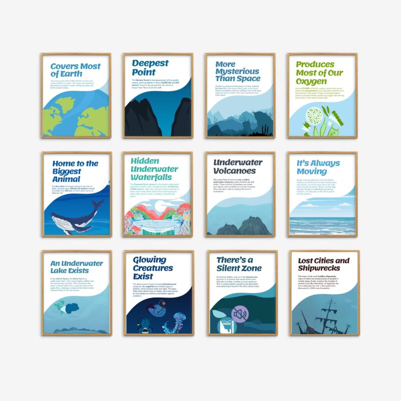 Ocean Fun Facts Set