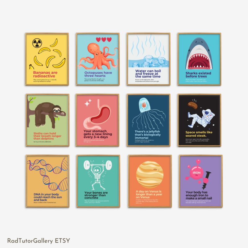 Science Fun Facts Set