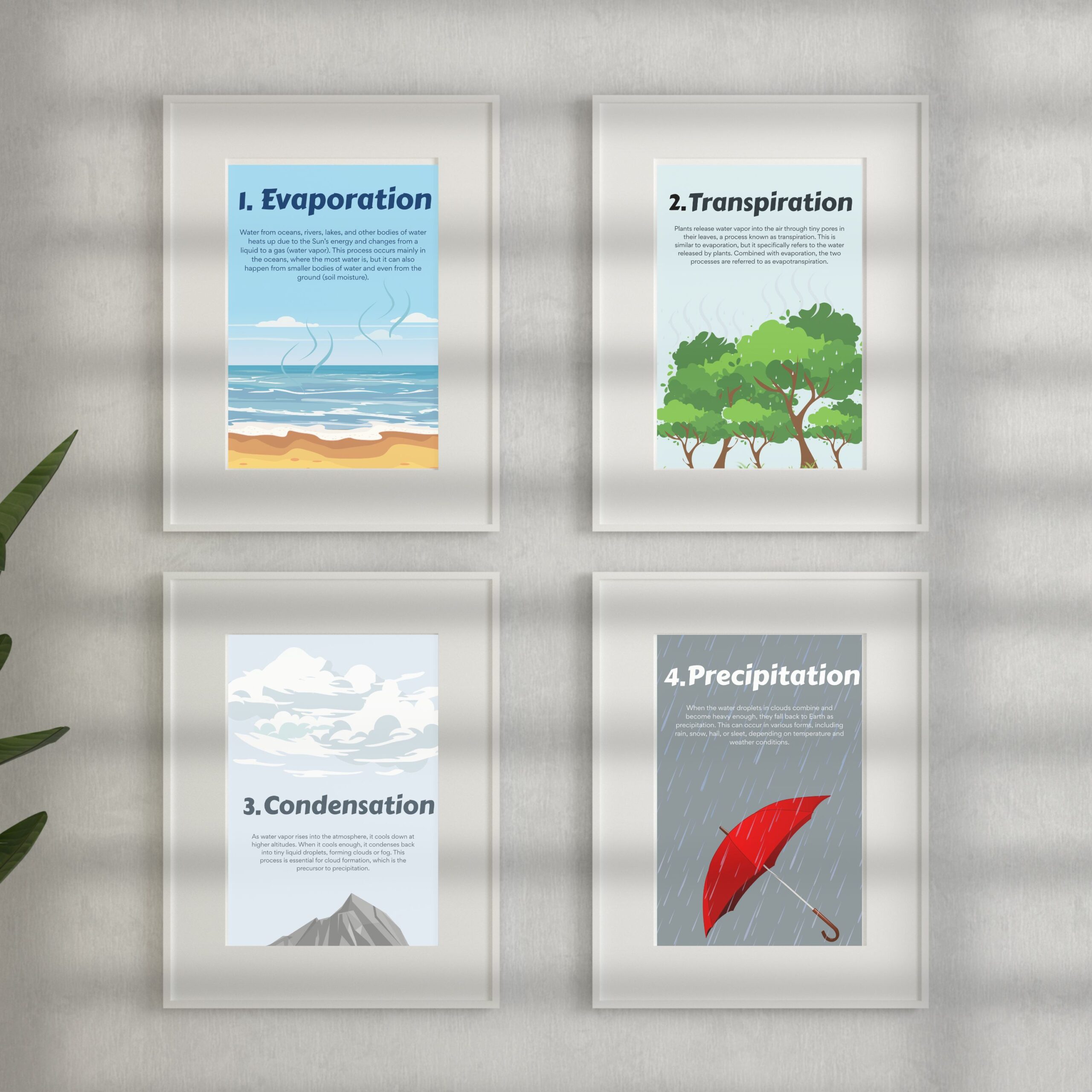 The Water Cycle Set