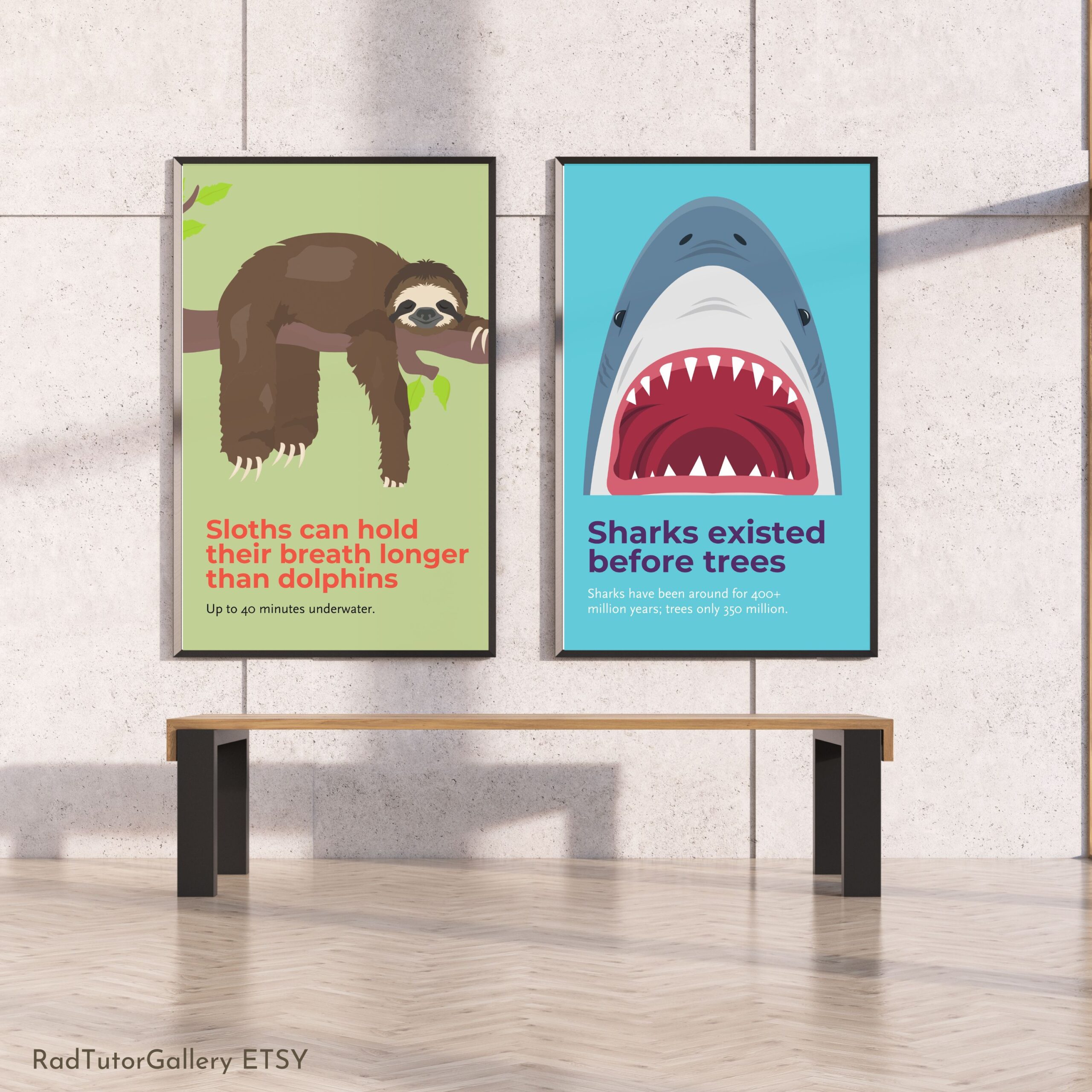 Science Fun Facts Set
