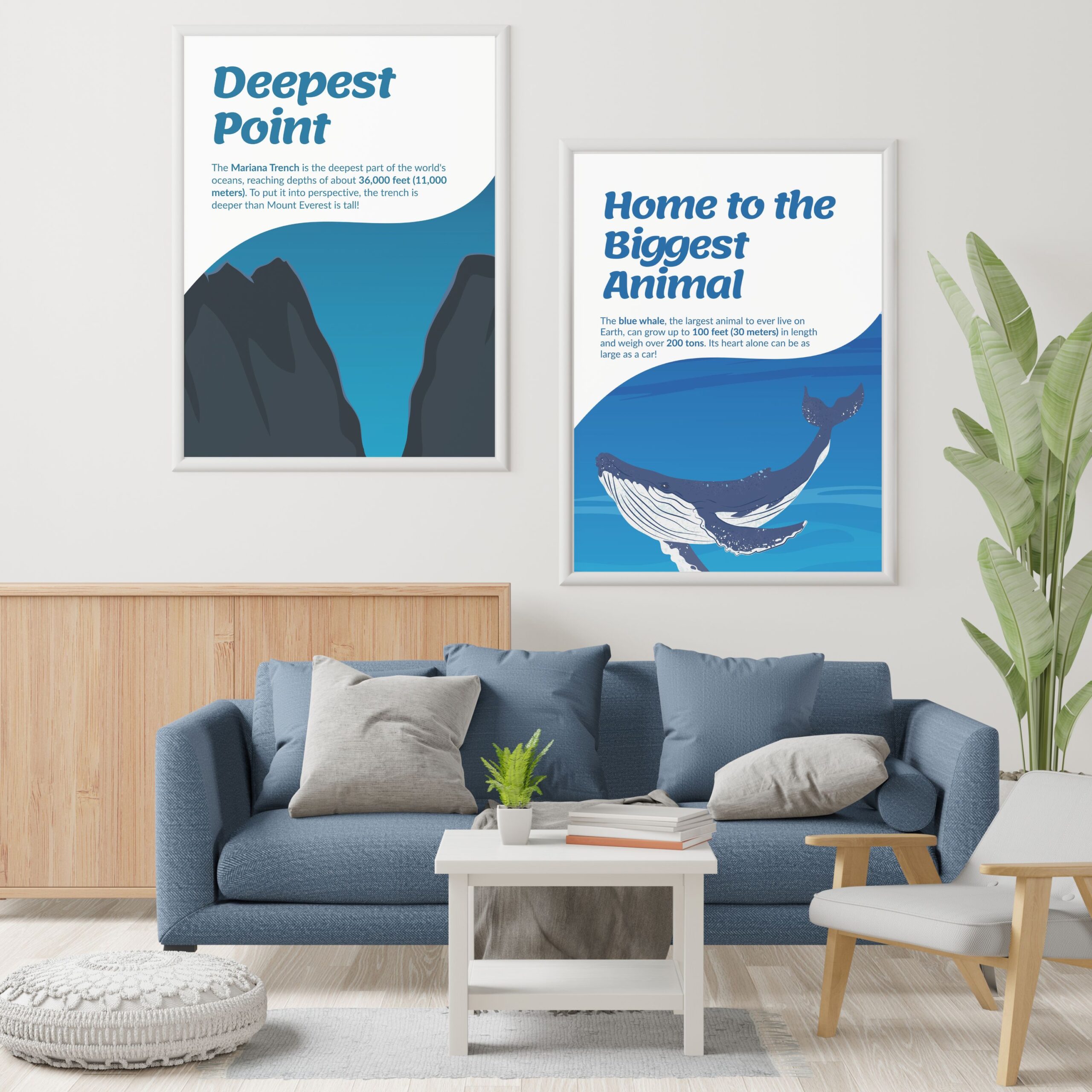 Ocean Fun Facts Set