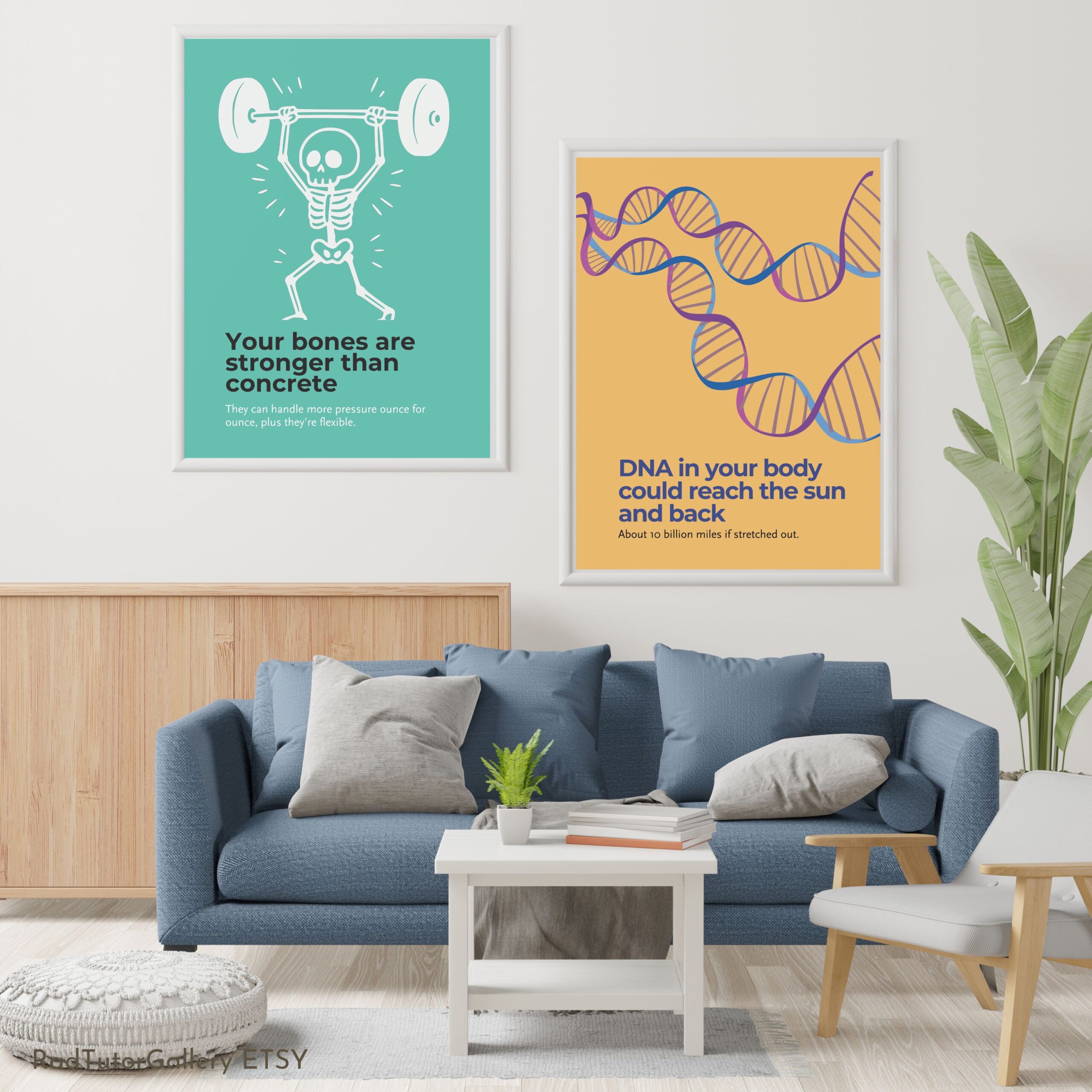 Science Fun Facts Set