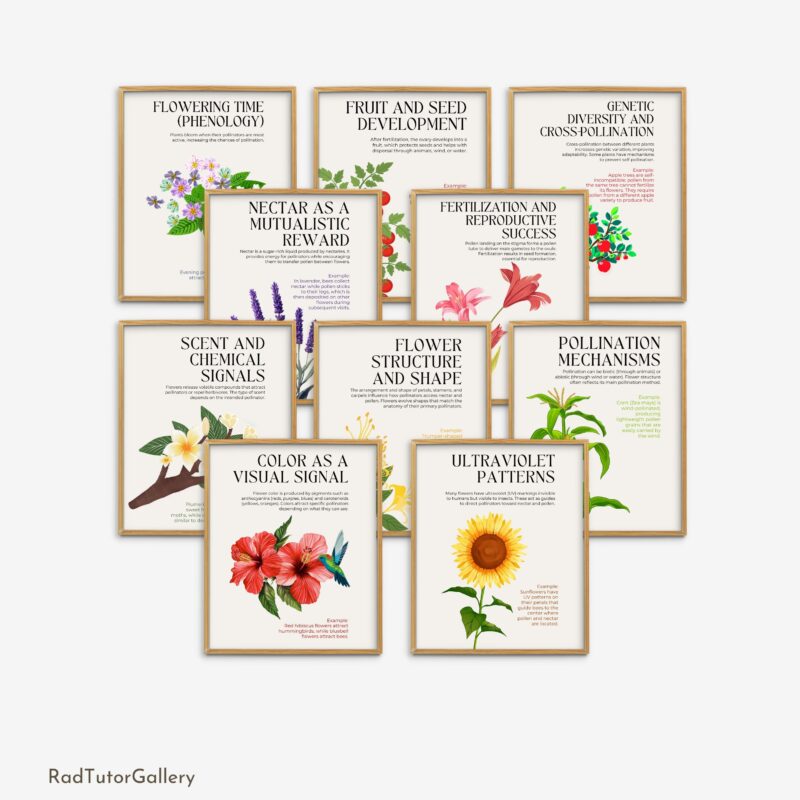Language of Flowers Set