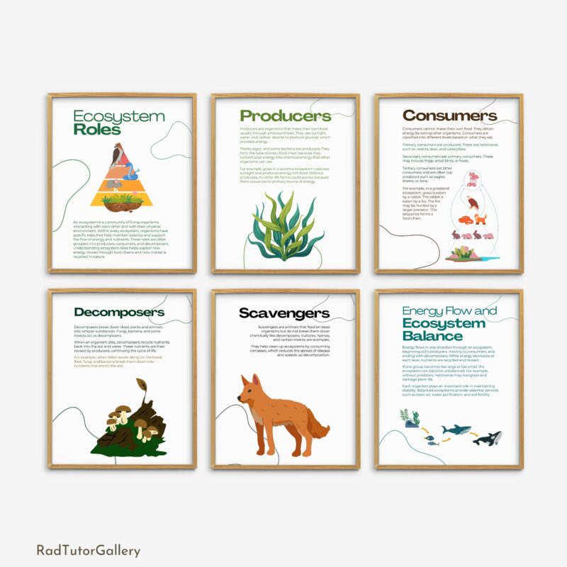 Ecosystem Roles Set