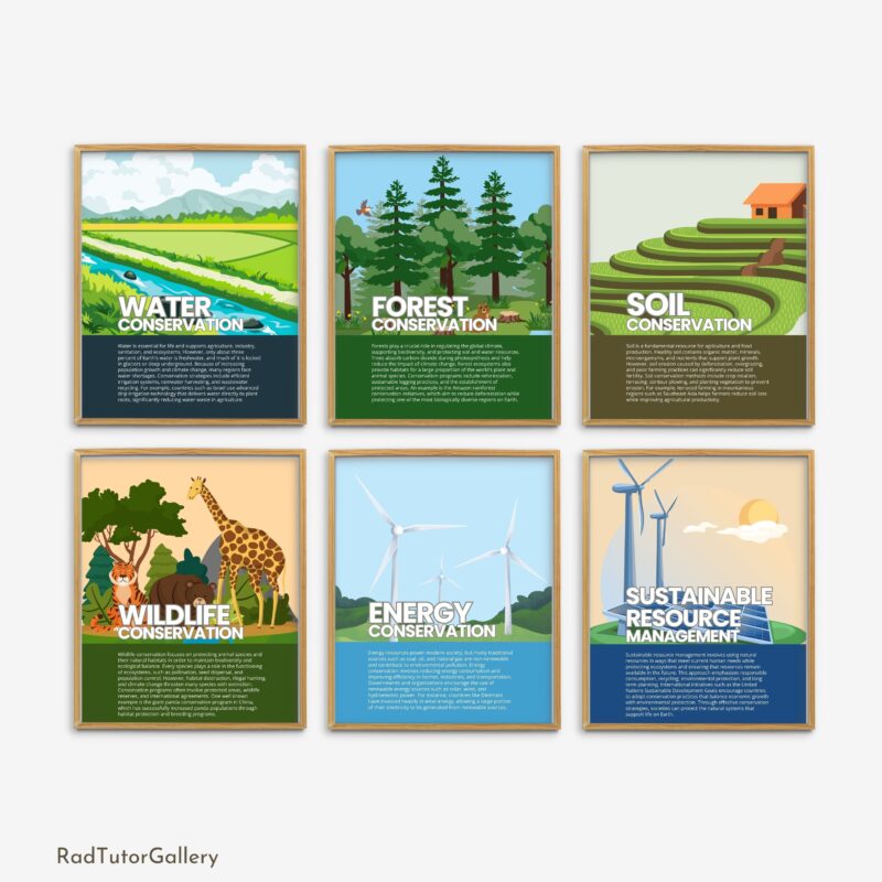 Conservation of Natural Resources Set