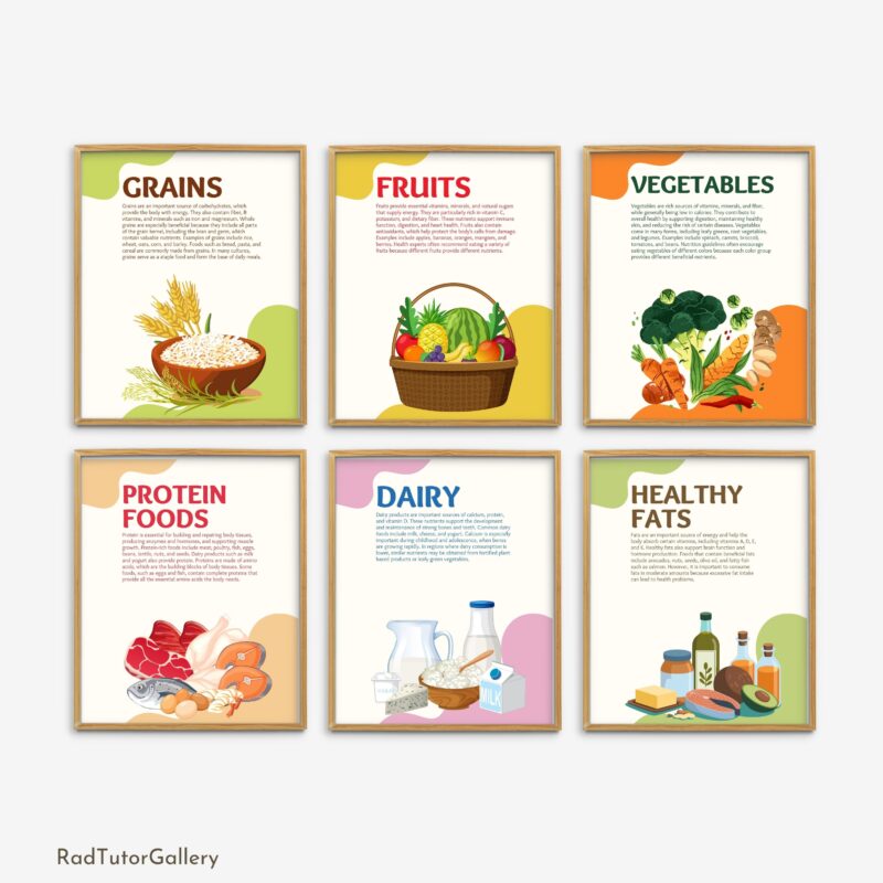 Food Groups and Balanced Diet Set