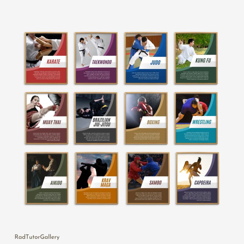 Popular Martial Arts Set