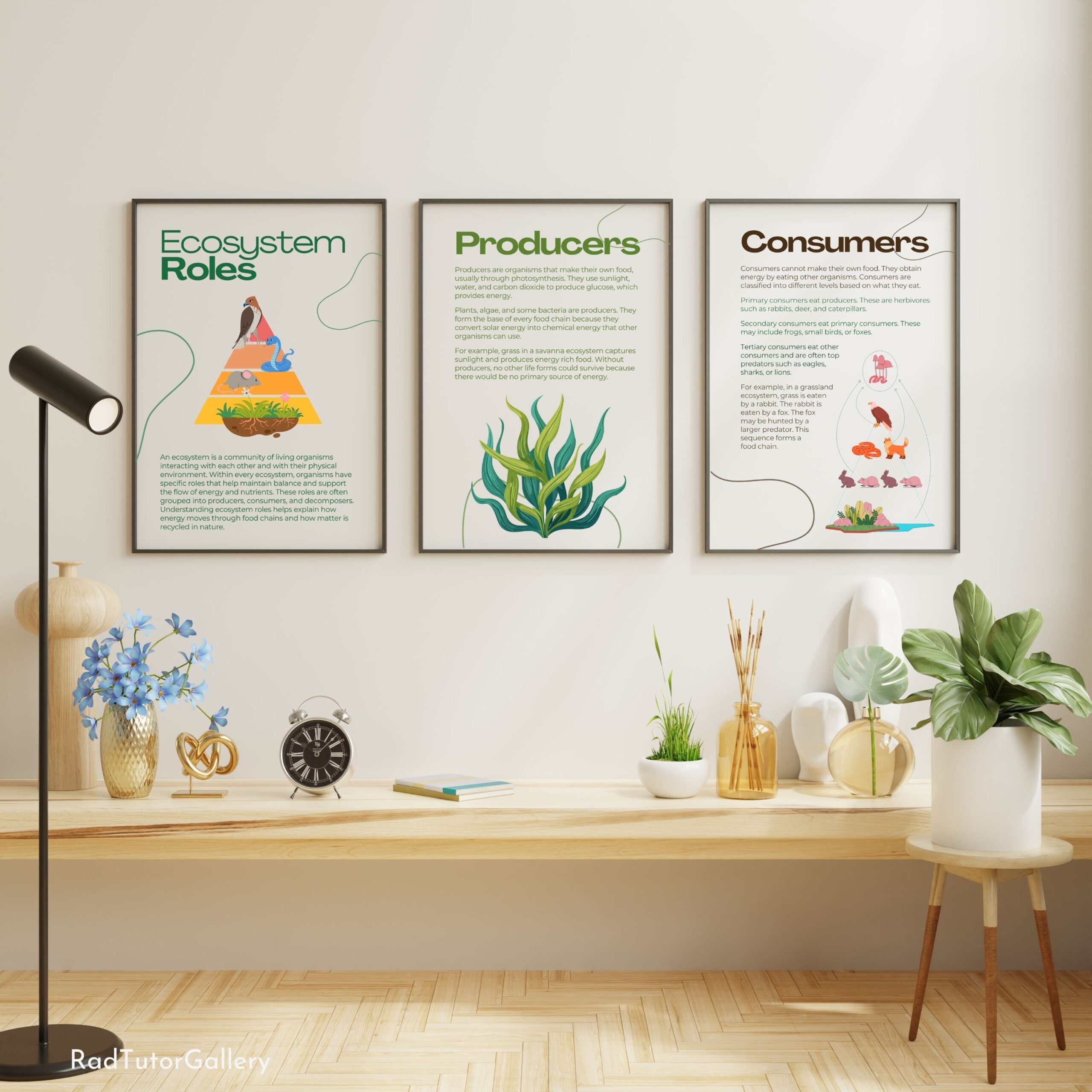 Ecosystem Roles Set