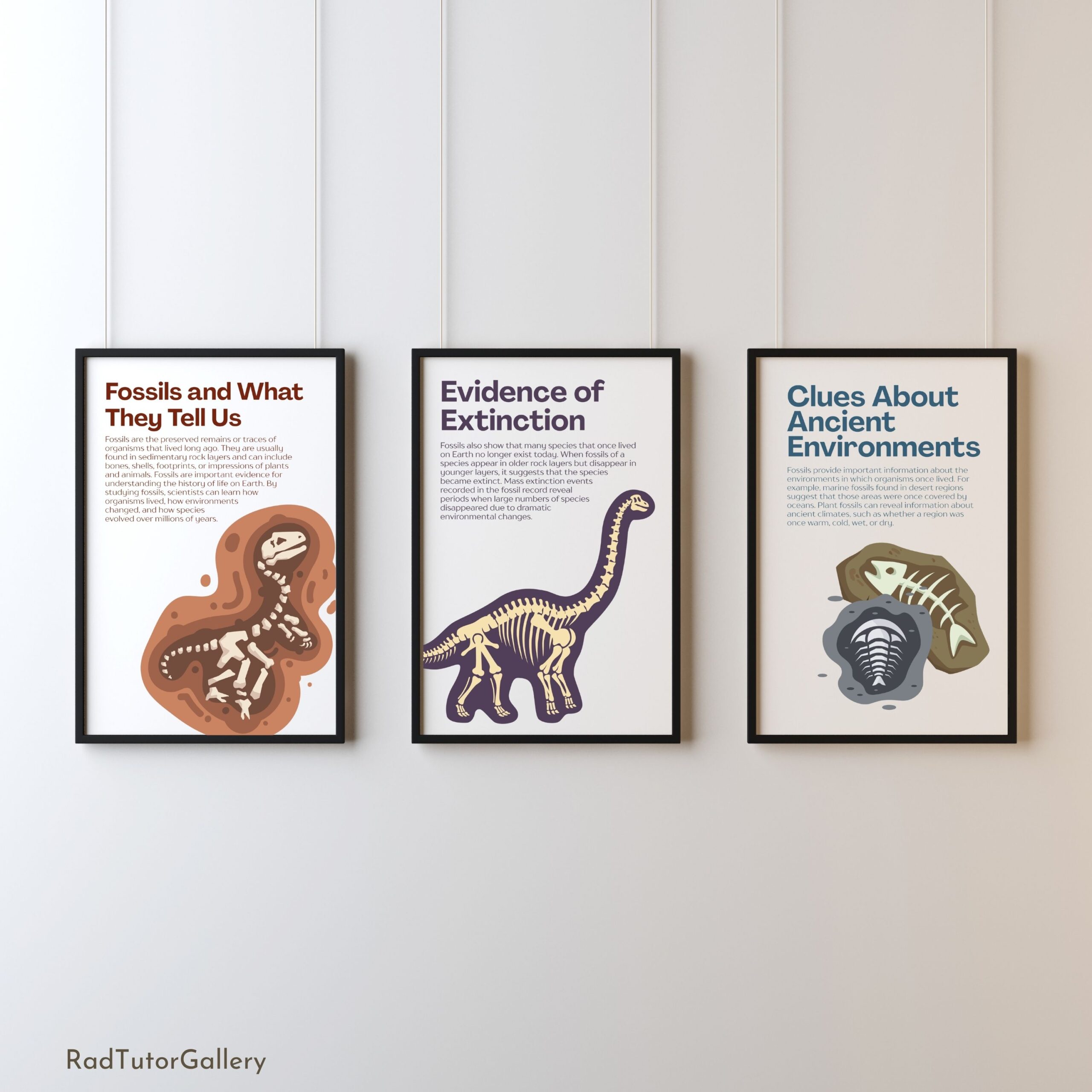 What Fossils Teach Us Set