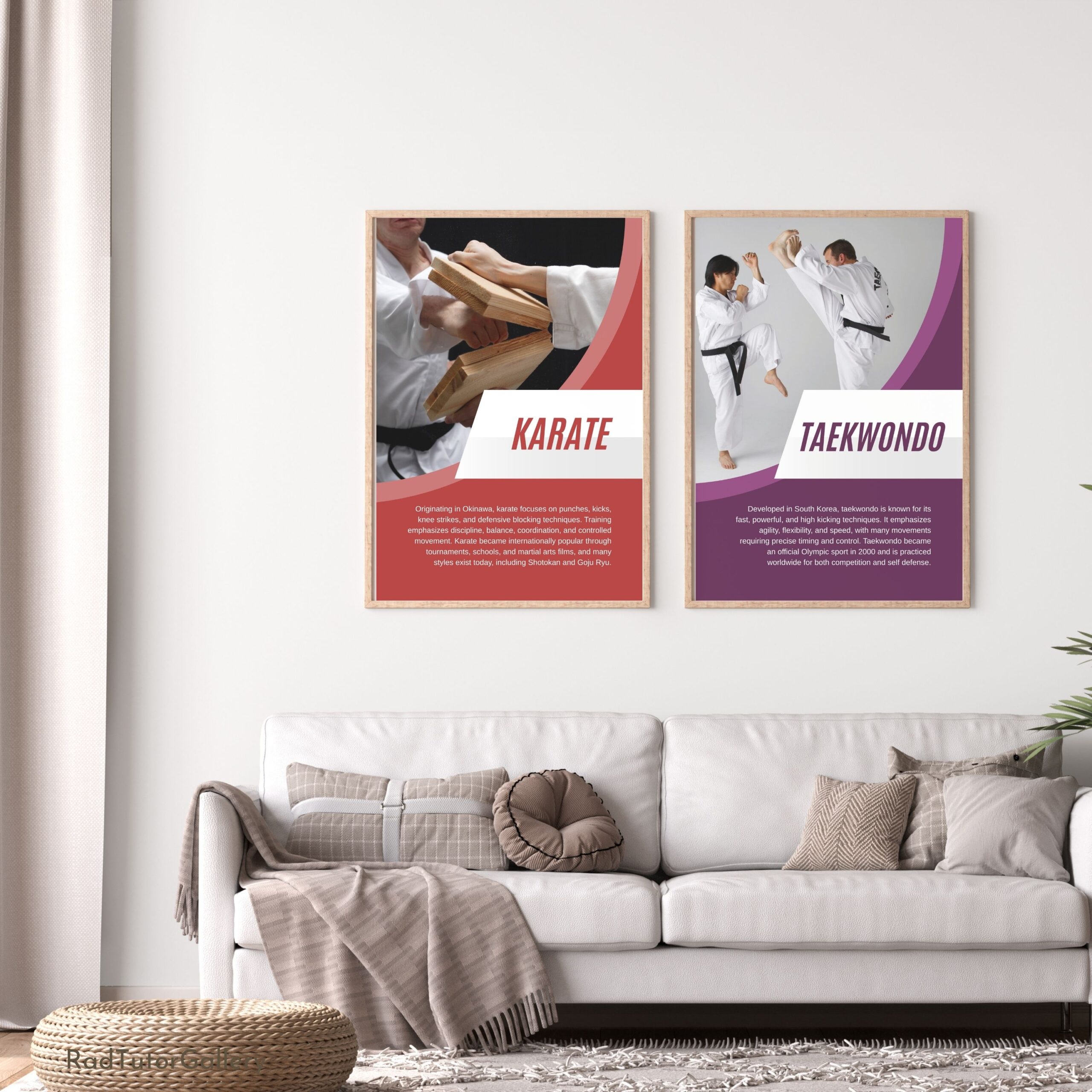 Popular Martial Arts Set