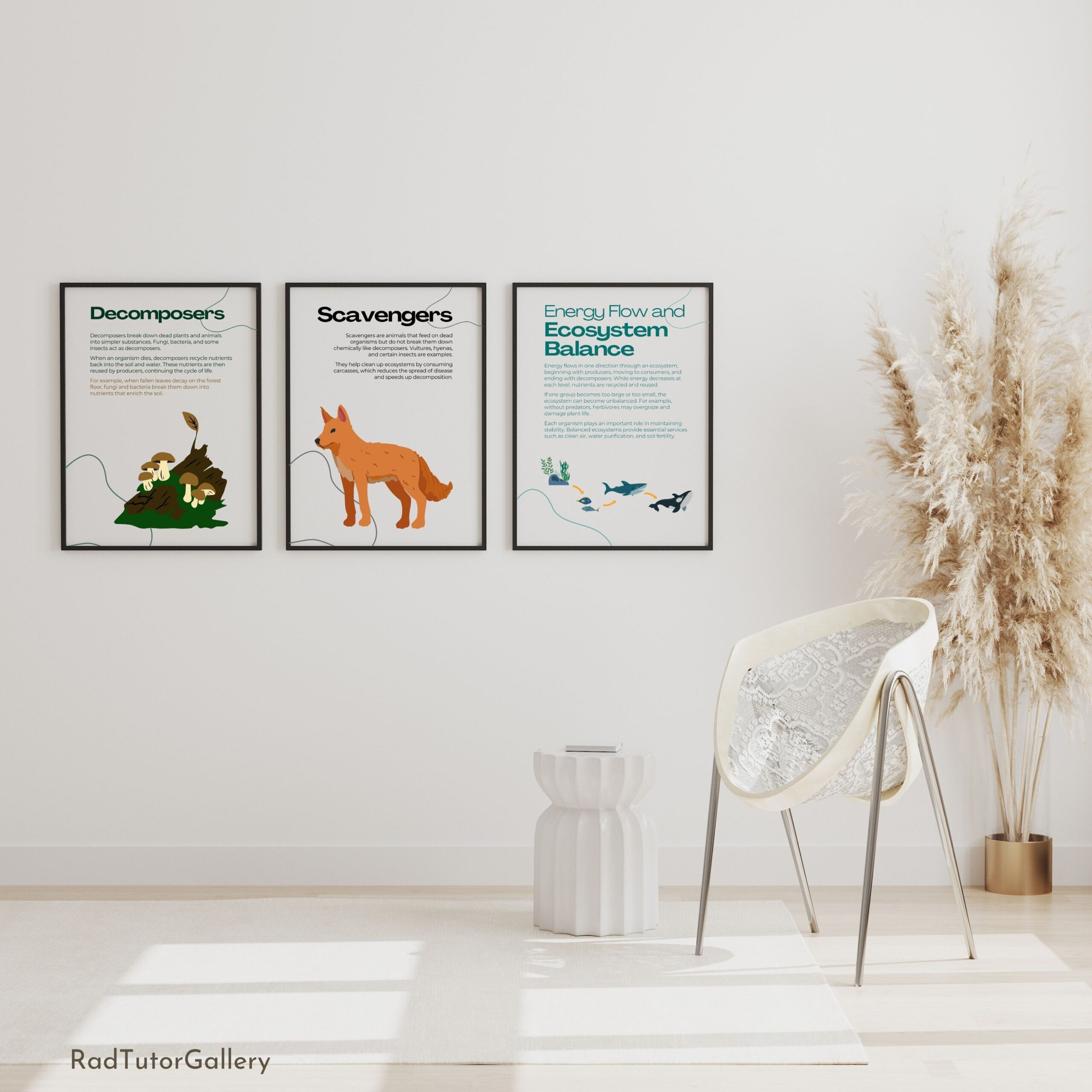 Ecosystem Roles Set