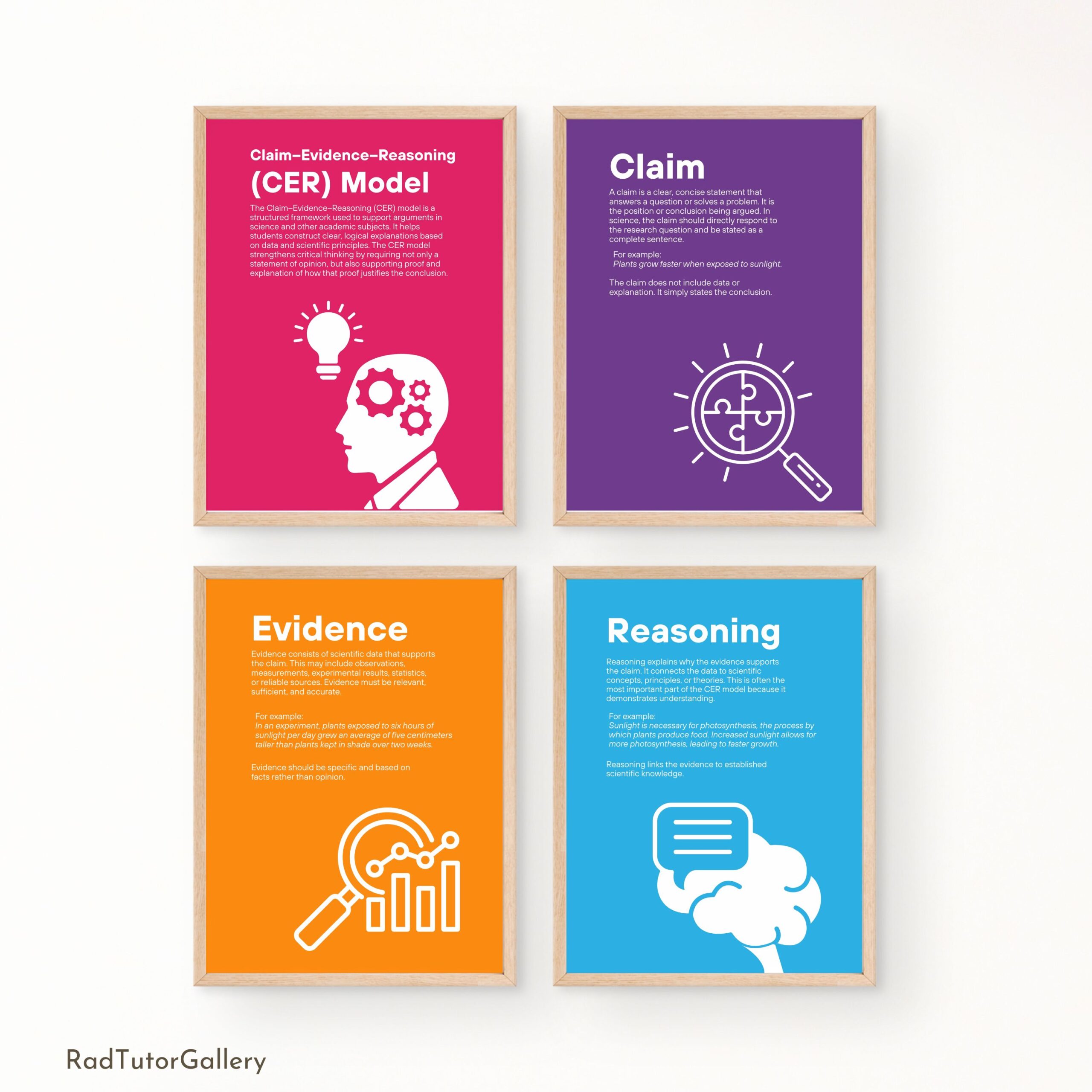 Claim Evidence Reasoning (CER) Model Set