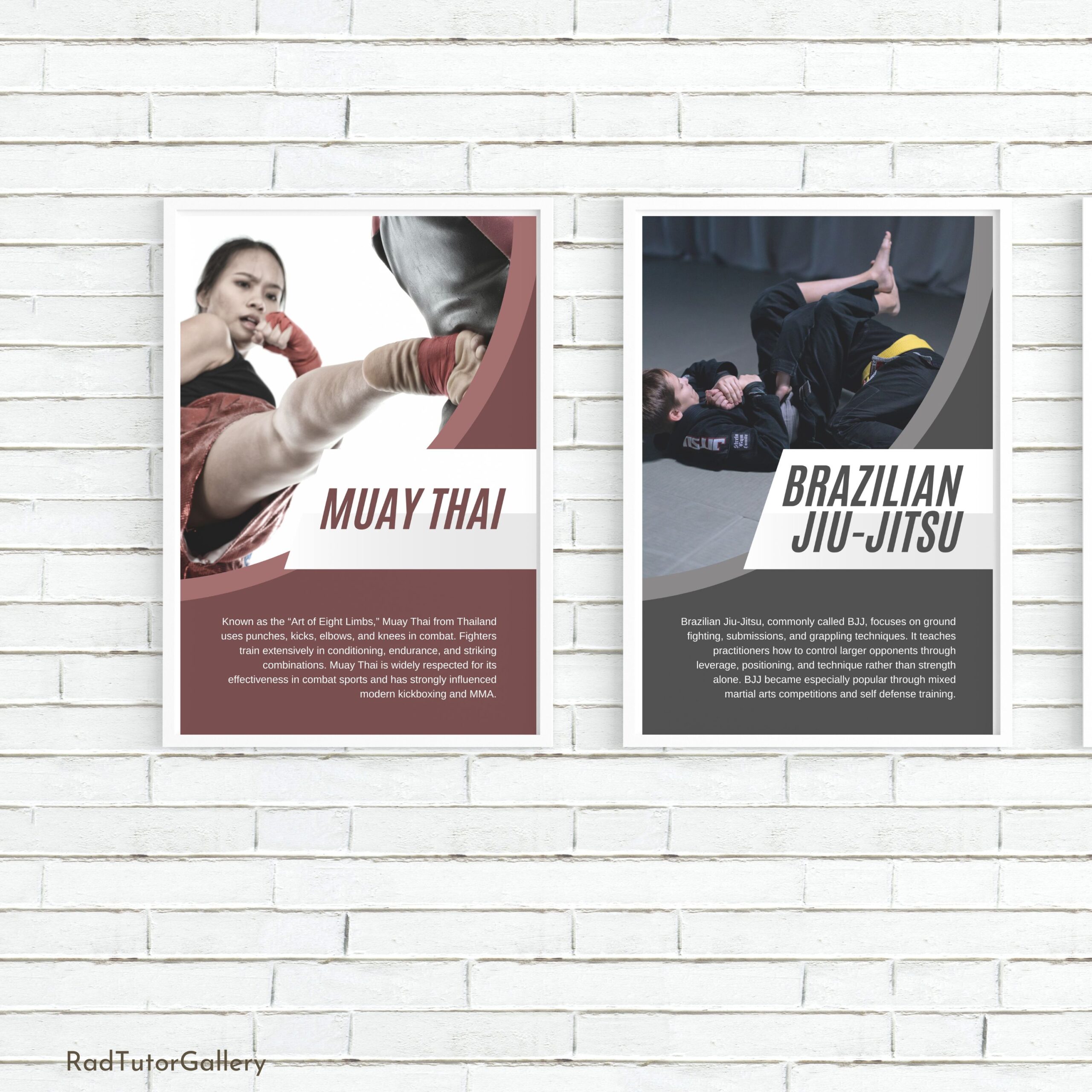 Popular Martial Arts Set