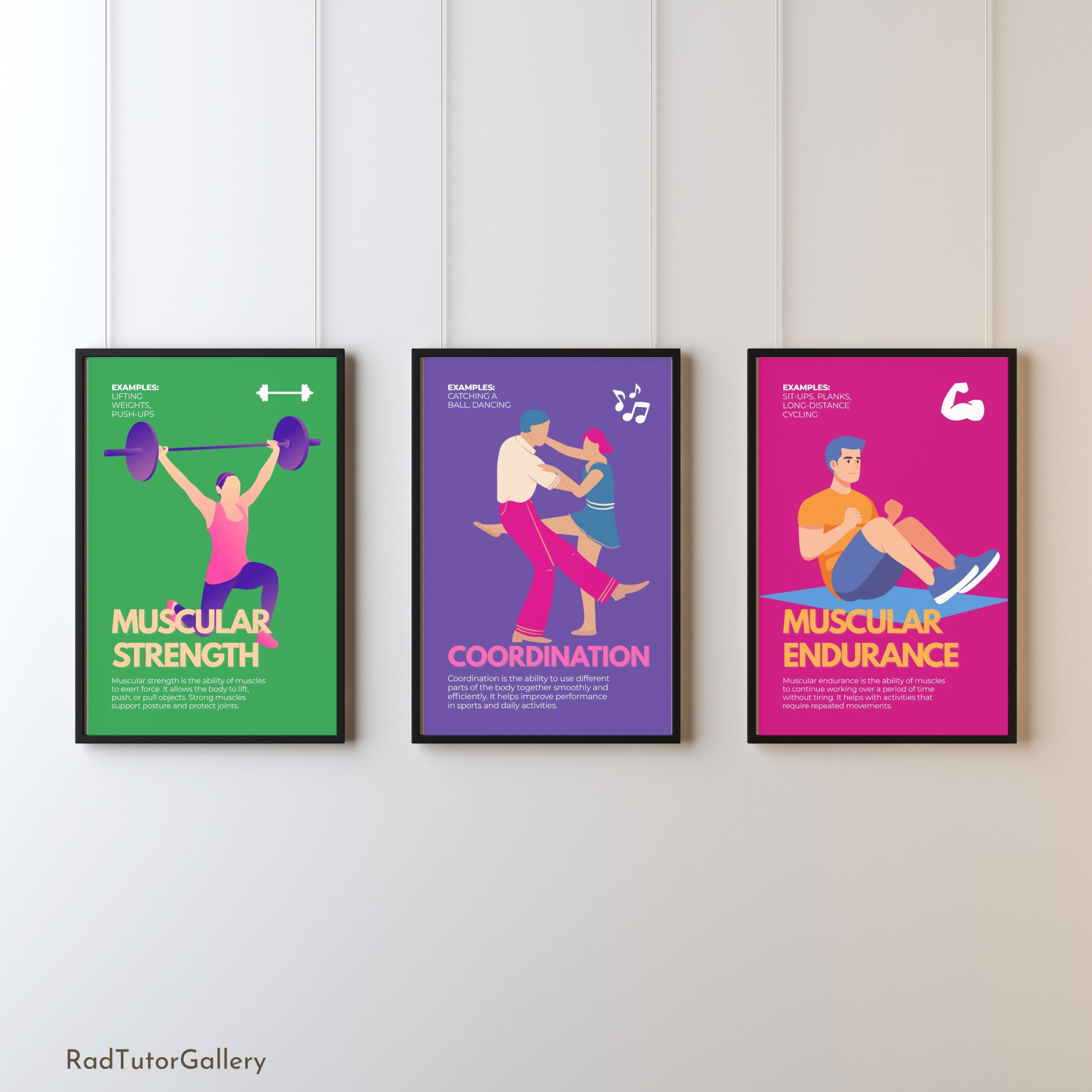 Fitness Components Set