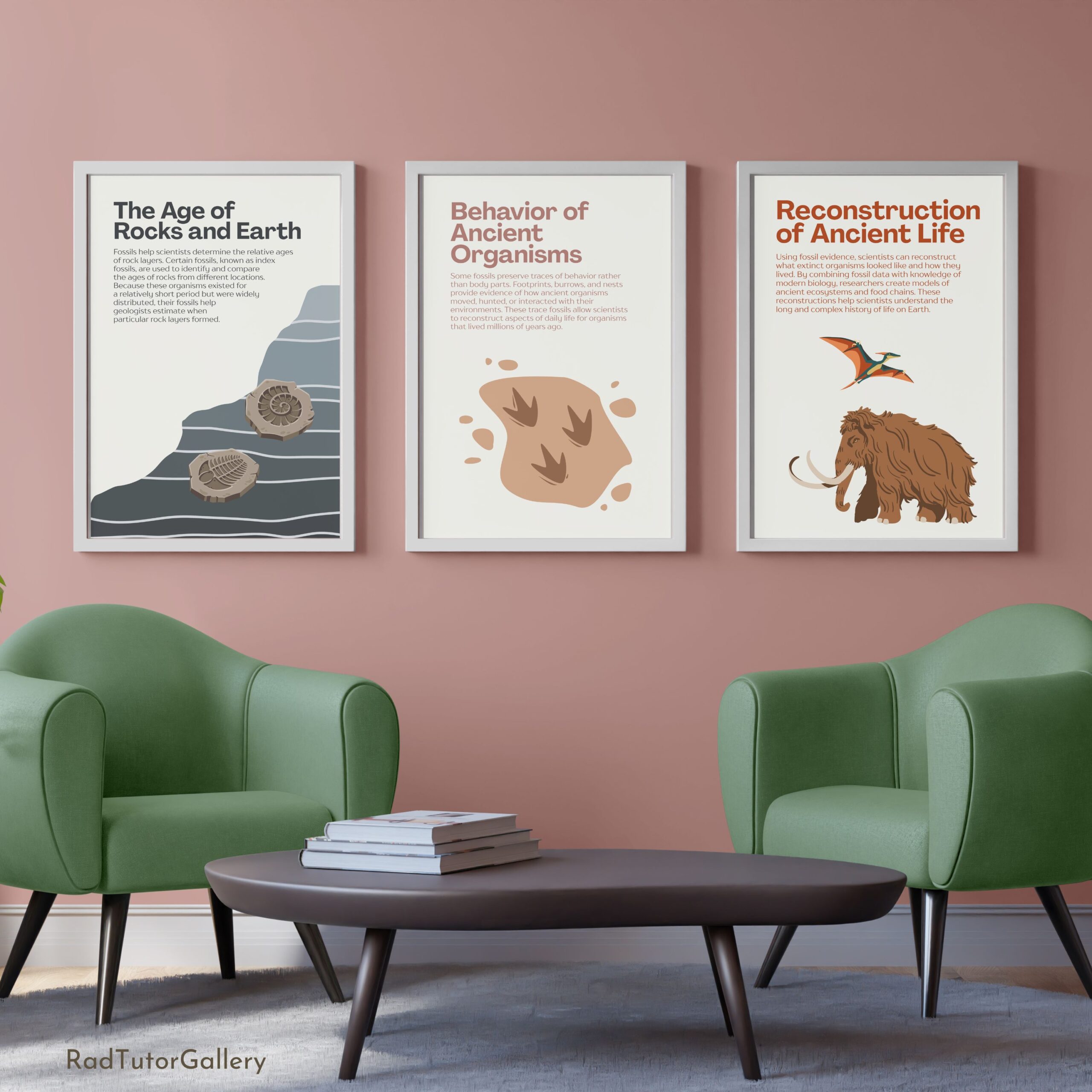 What Fossils Teach Us Set