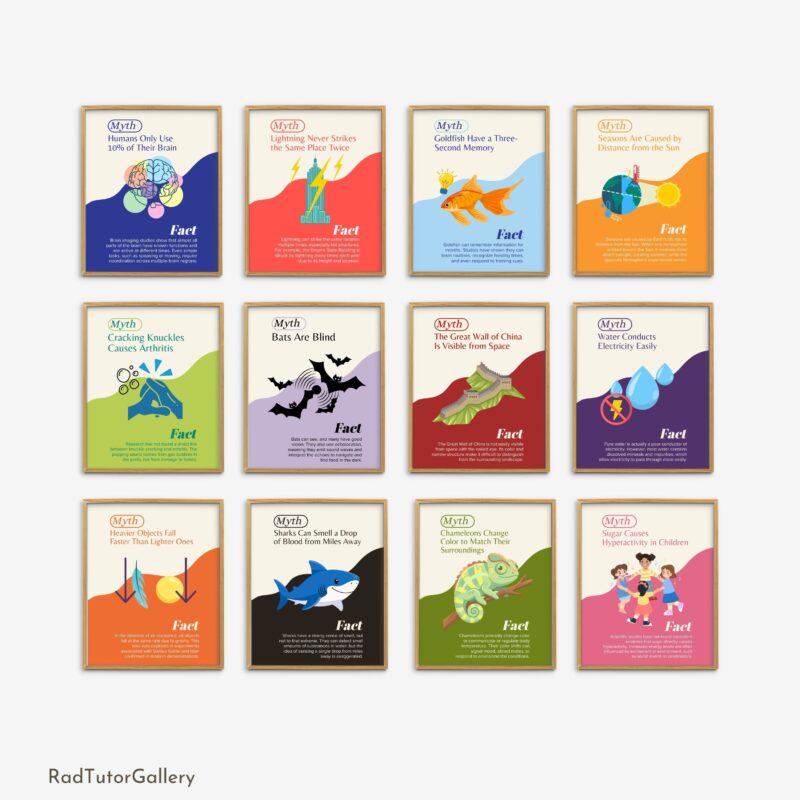 Science Myths VS Facts Set