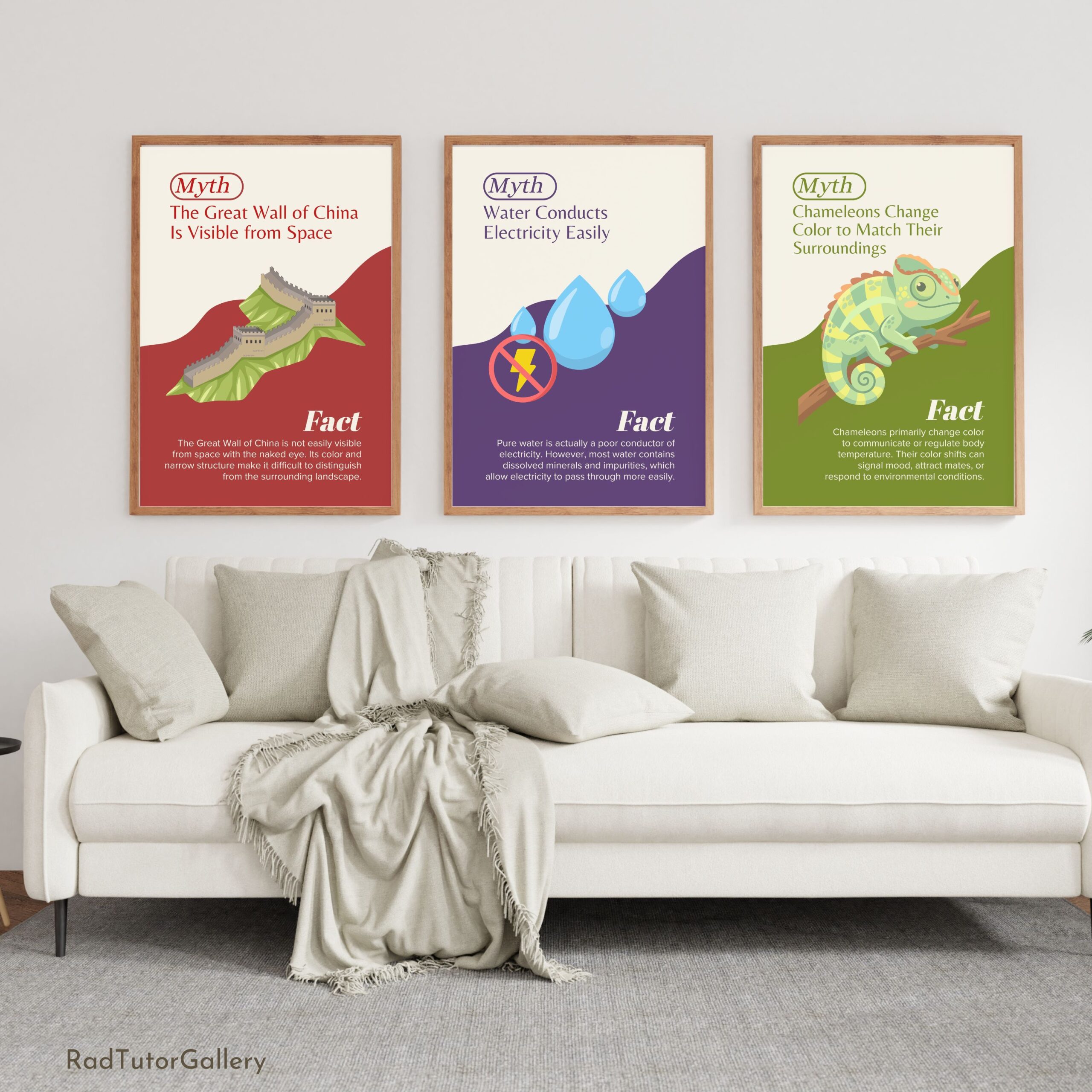 Science Myths VS Facts Set