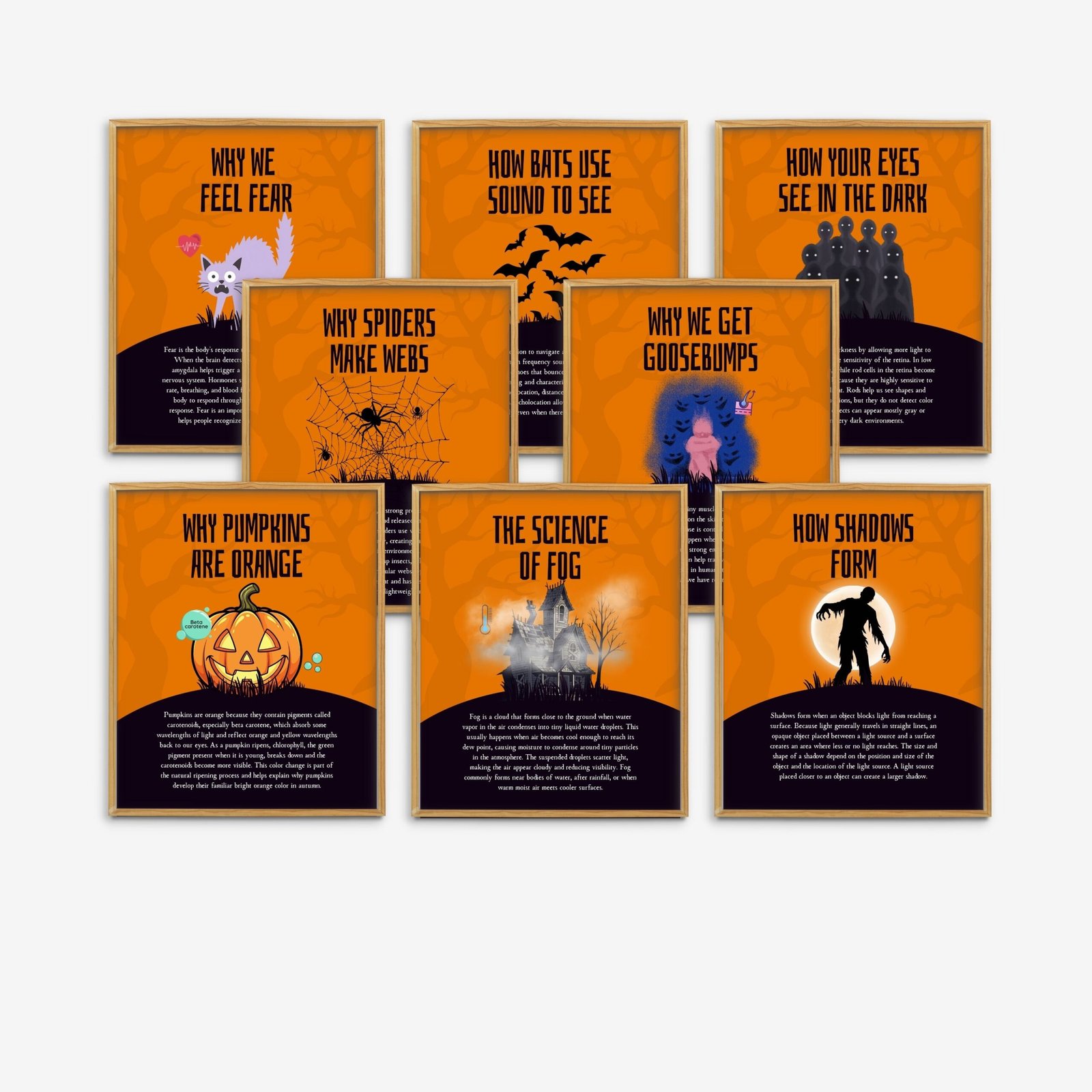 The Science of Halloween Set