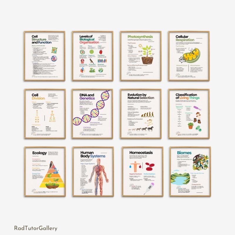biology poster set, science classroom decor, science bulletin board