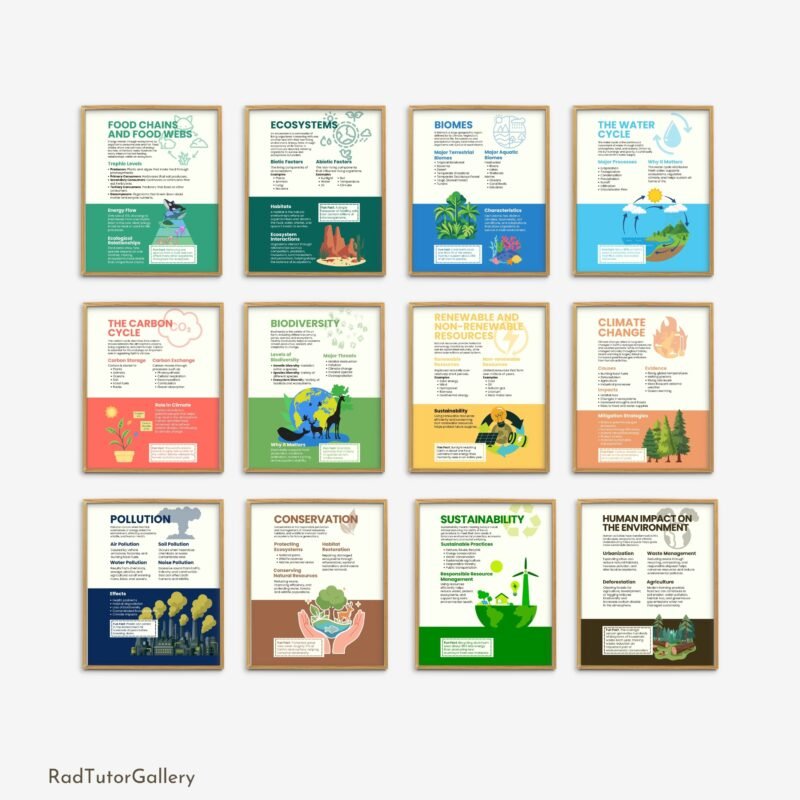 environmental science educational posters, science class bulletin board, ecology prints