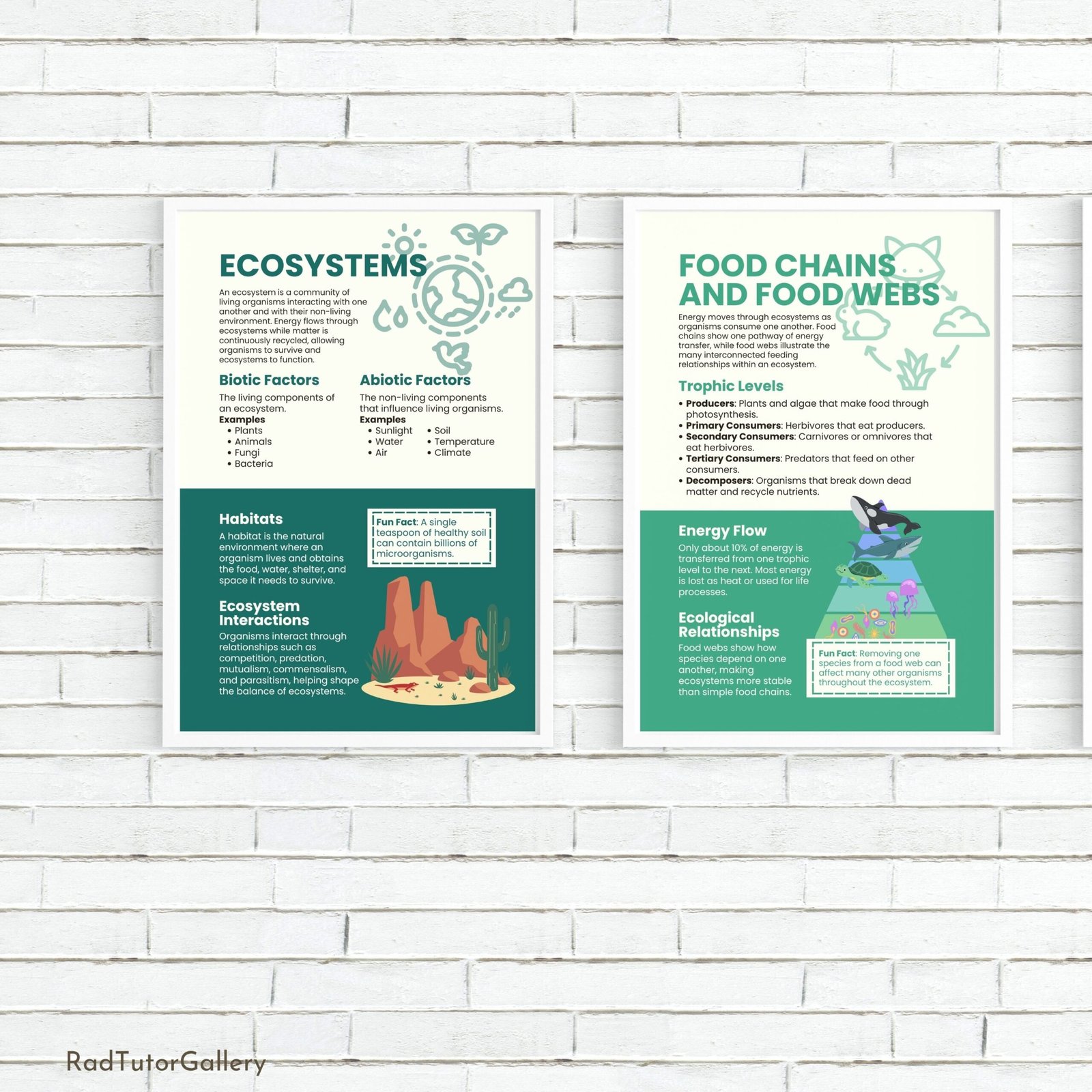 environmental science educational posters, science class bulletin board, ecology prints