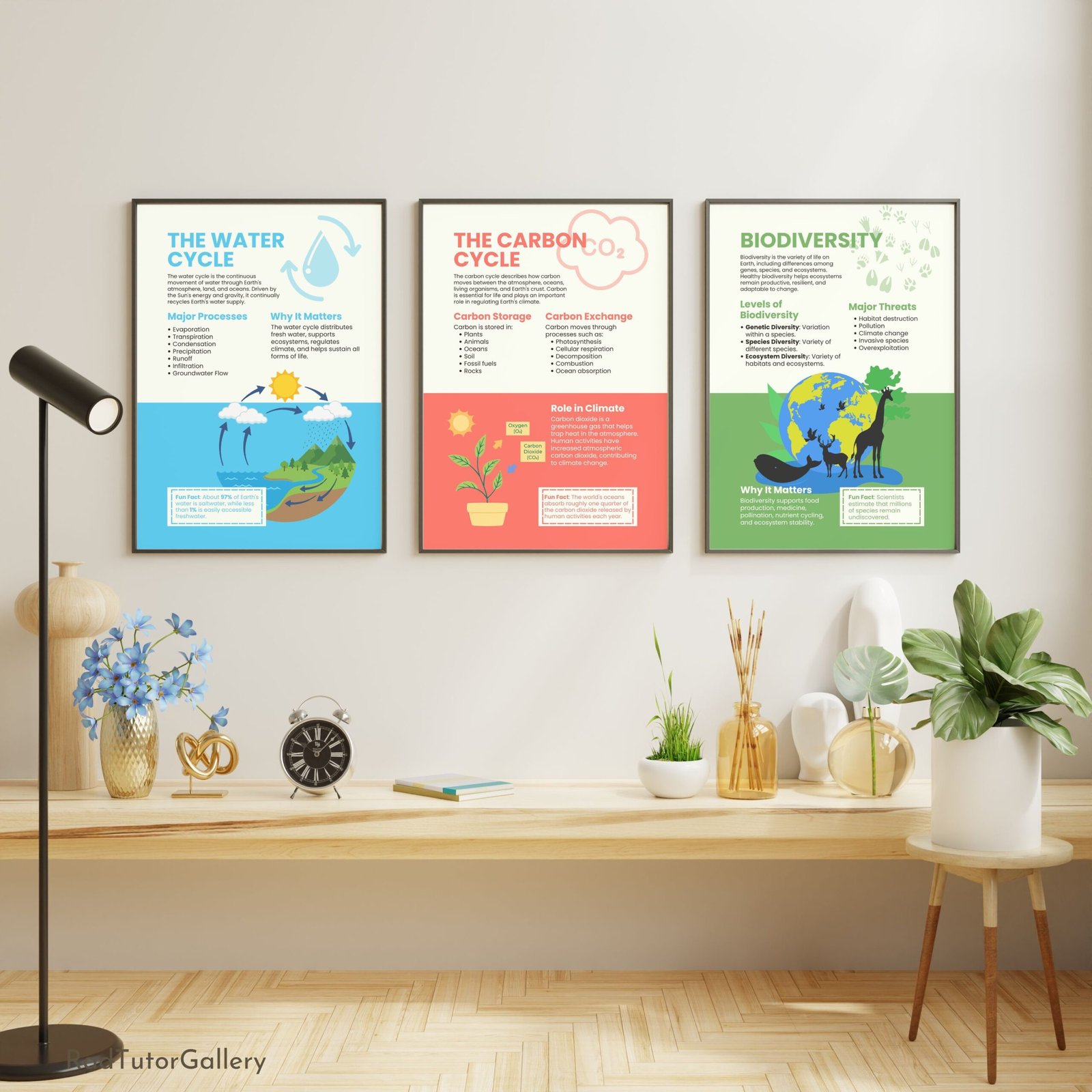 environmental science educational posters, science class bulletin board, ecology prints