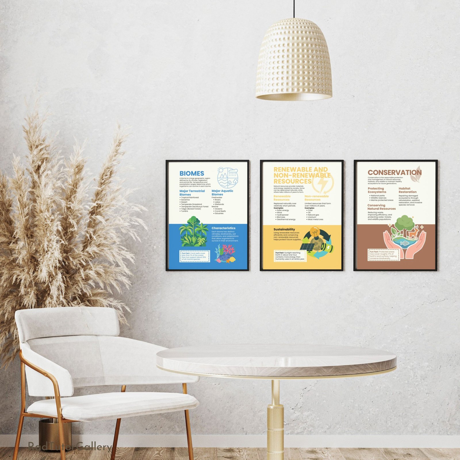 environmental science educational posters, science class bulletin board, ecology prints