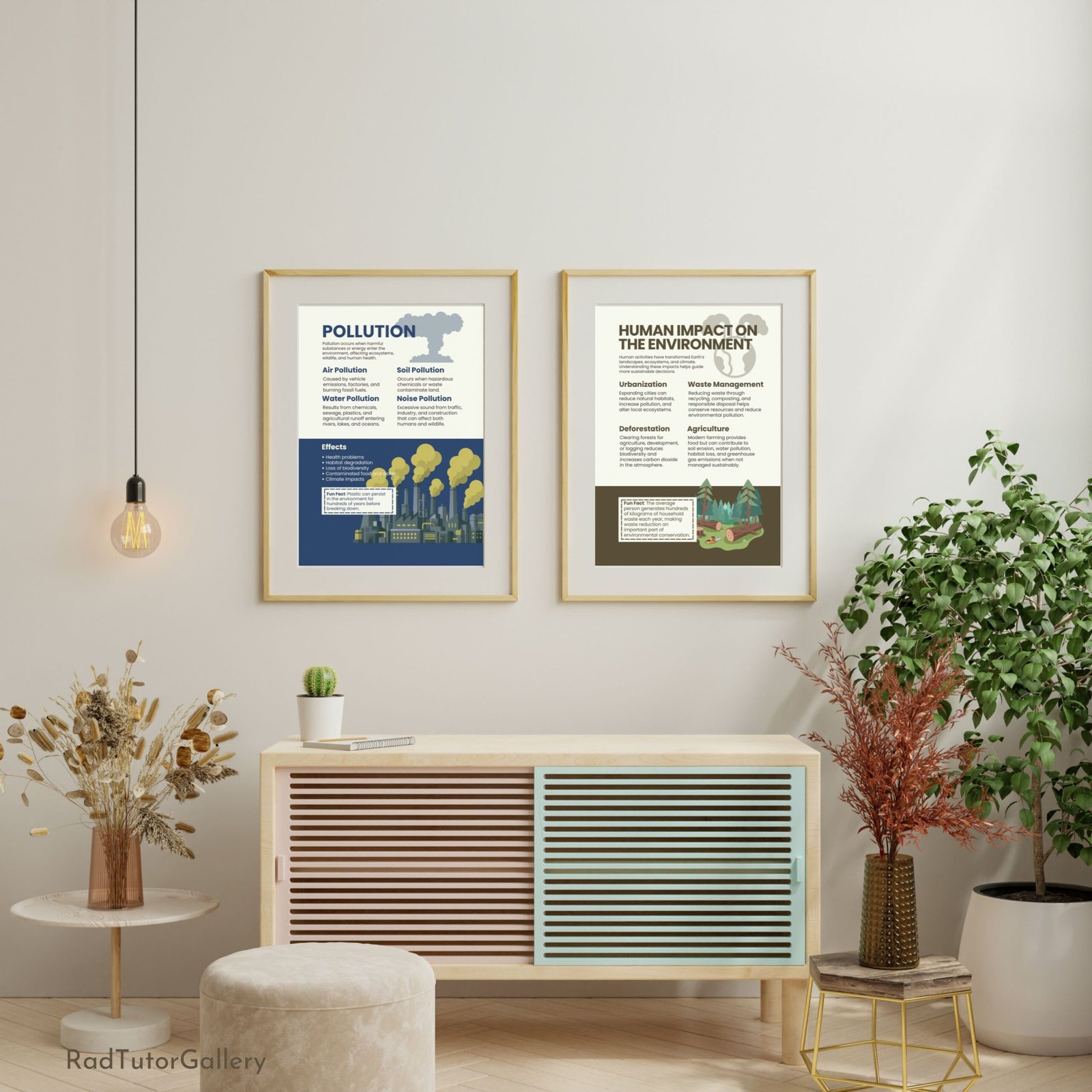 environmental science educational posters, science class bulletin board, ecology prints