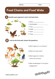 science-worksheet-7-212x300 10 Free Science Worksheets for Middle School